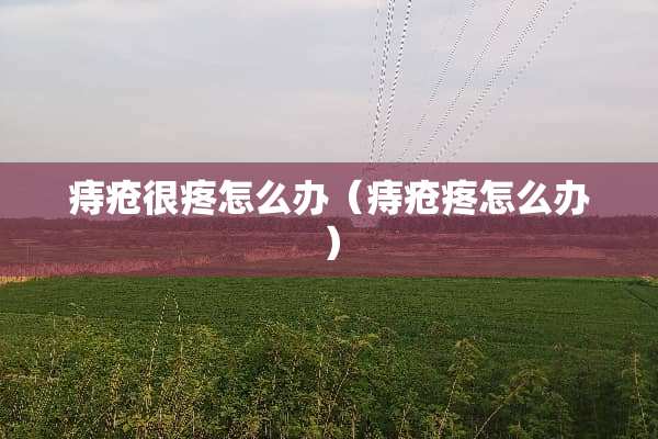 痔疮很疼怎么办(痔疮疼怎么办) 痔疮很疼怎么办(痔疮疼怎么办)