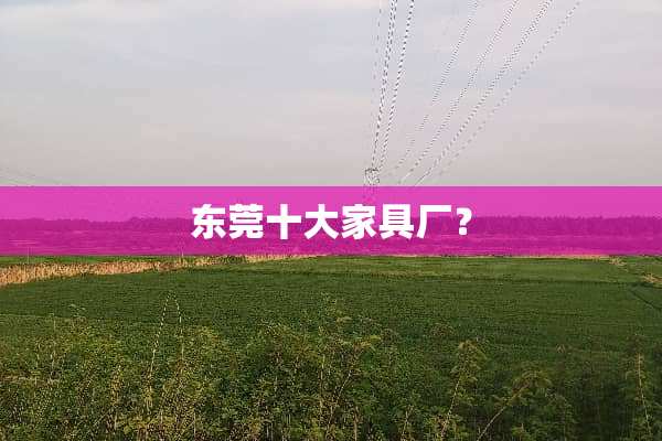 东莞十大家具厂？
