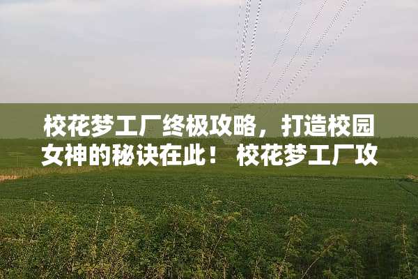 校花梦工厂终极攻略，打造校园女神的秘诀在此！ 校花梦工厂攻略