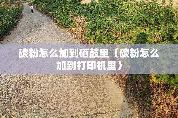 碳粉怎么加到硒鼓里(碳粉怎么加到打印机里) 碳粉怎么加到硒鼓里(碳粉怎么加到打印机里)