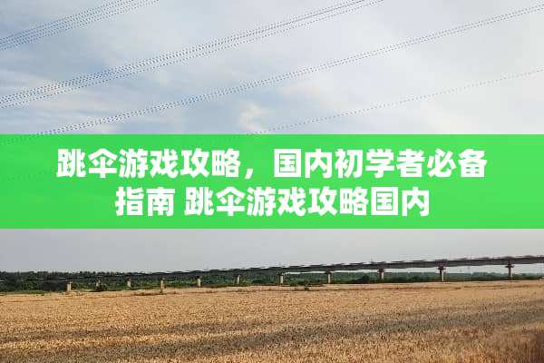 跳伞游戏攻略,国内初学者必备指南 跳伞游戏攻略国内 跳伞游戏攻略,国内初学者必备指南 跳伞游戏攻略国内