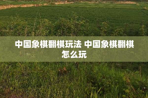 中国象棋翻棋玩法 中国象棋翻棋怎么玩