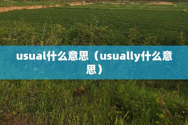 usual什么意思（usually什么意思）