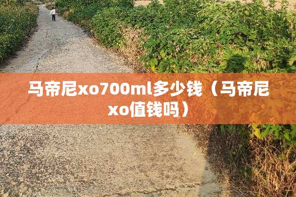 马帝尼xo700ml多少钱（马帝尼xo值钱吗）