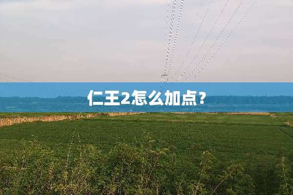 仁王2怎么加点？