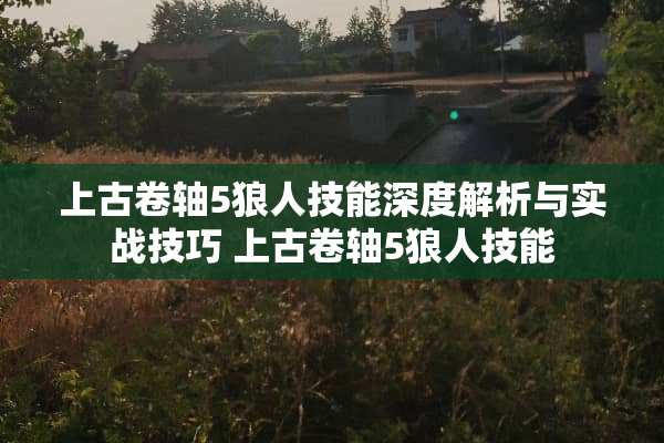 上古卷轴5狼人技能深度解析与实战技巧 上古卷轴5狼人技能 上古卷轴5狼人技能深度解析与实战技巧 上古卷轴5狼人技能