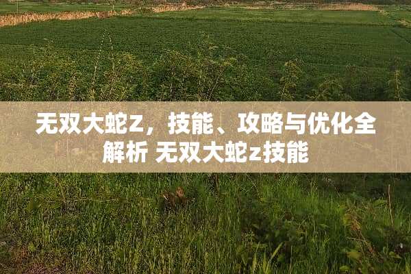 无双大蛇Z，技能、攻略与优化全解析 无双大蛇z技能