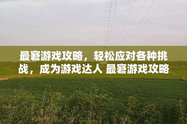 最窘游戏攻略，轻松应对各种挑战，成为游戏达人 最窘游戏攻略