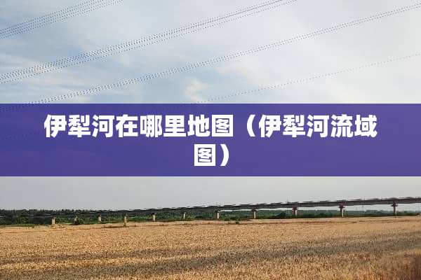 伊犁河在哪里地图（伊犁河流域图）