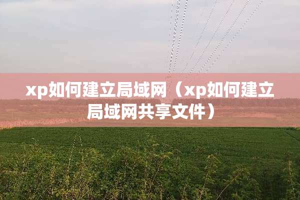 xp如何建立局域网(xp如何建立局域网共享文件) xp如何建立局域网(xp如何建立局域网共享文件)