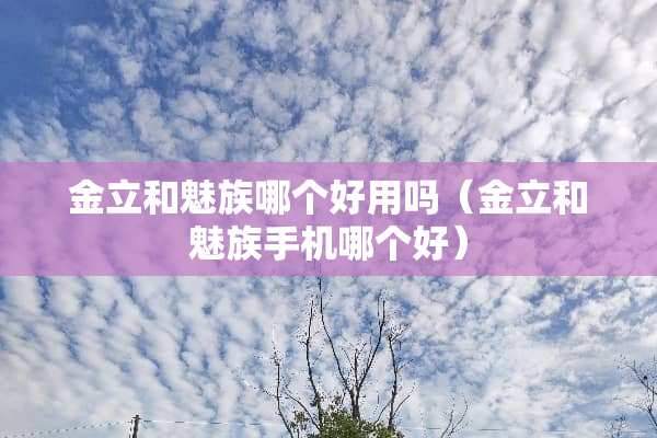 金立和魅族哪个好用吗(金立和魅族手机哪个好) 金立和魅族哪个好用吗(金立和魅族手机哪个好)