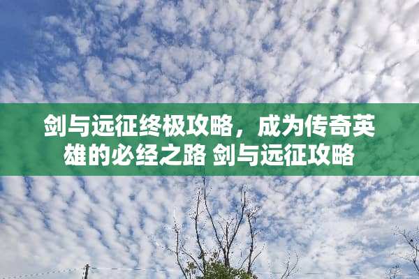 剑与远征终极攻略,成为传奇英雄的必经之路 剑与远征攻略 剑与远征终极攻略,成为传奇英雄的必经之路 剑与远征攻略