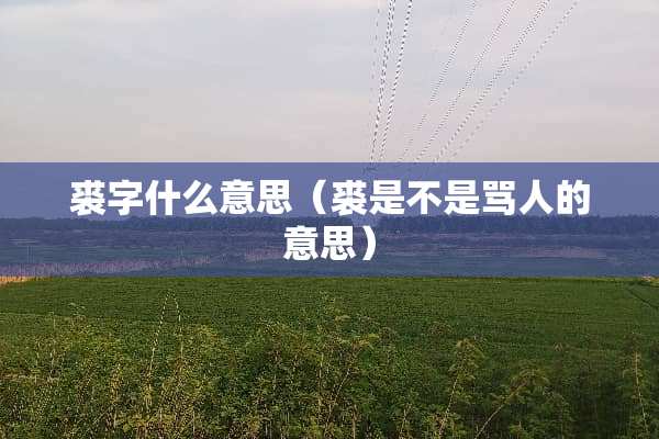 裘字什么意思（裘是不是骂人的意思）