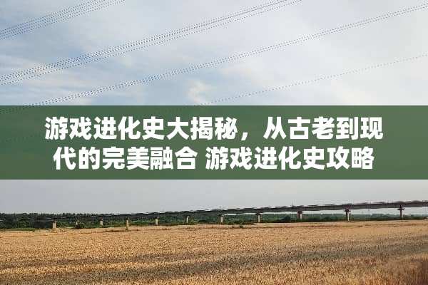 游戏进化史大揭秘，从古老到现代的完美融合 游戏进化史攻略