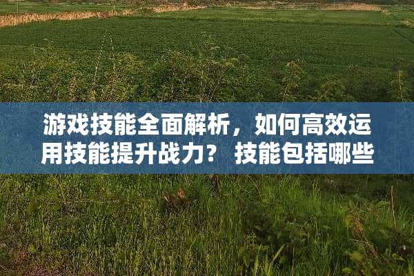 游戏技能全面解析，如何高效运用技能提升战力？ 技能包括哪些