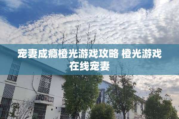 宠妻成瘾橙光游戏攻略 橙光游戏在线宠妻