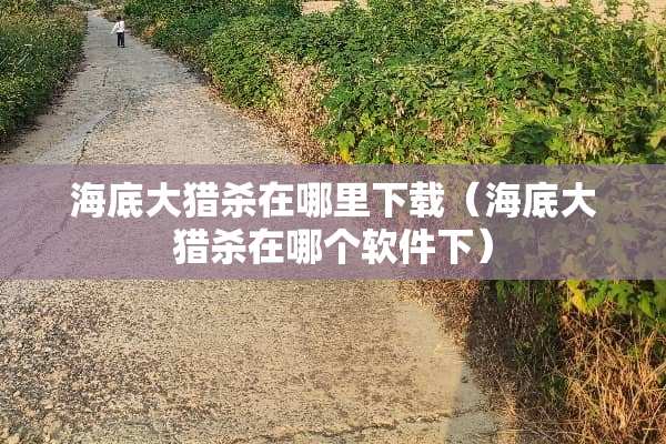 海底大猎杀在哪里下载（海底大猎杀在哪个软件下）