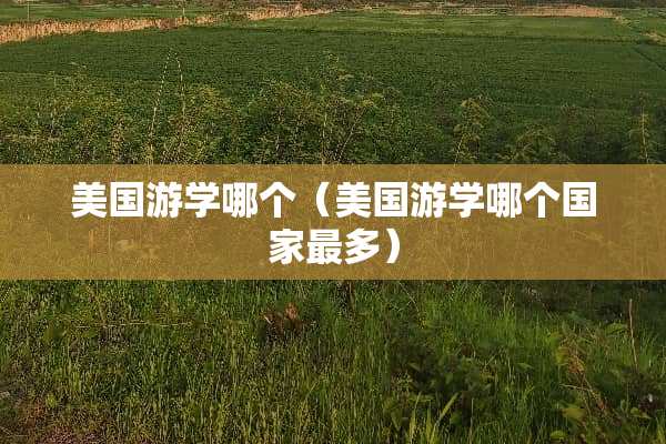 美国游学哪个（美国游学哪个国家最多）
