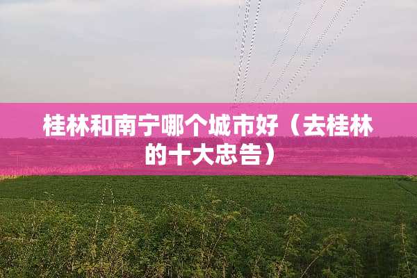 桂林和南宁哪个城市好（去桂林的十大忠告）