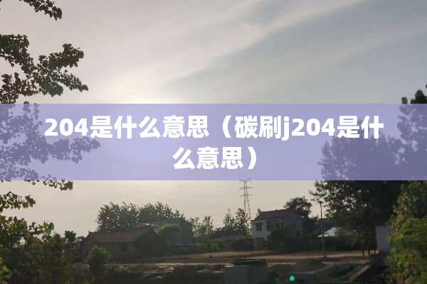 204是什么意思(碳刷j204是什么意思) 204是什么意思(碳刷j204是什么意思)