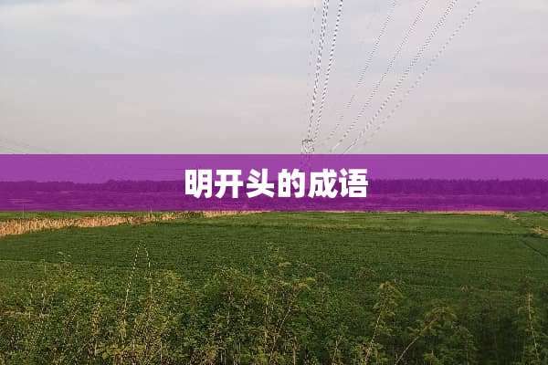 明开头的成语