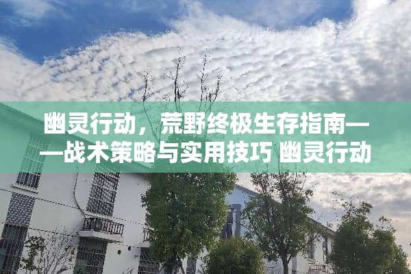 幽灵行动,荒野终极生存指南——战术策略与实用技巧 幽灵行动荒野攻略 幽灵行动,荒野终极生存指南——战术策略与实用技巧 幽灵行动荒野攻略