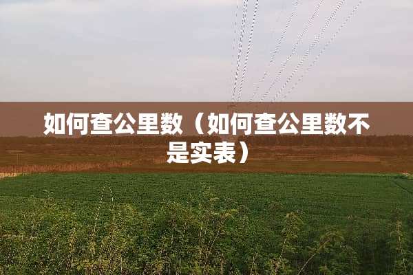 如何查公里数(如何查公里数不是实表) 如何查公里数(如何查公里数不是实表)
