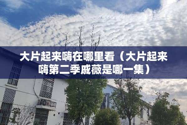 大片起来嗨在哪里看(大片起来嗨第二季戚薇是哪一集) 大片起来嗨在哪里看(大片起来嗨第二季戚薇是哪一集)