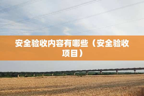 安全验收内容有哪些（安全验收项目）