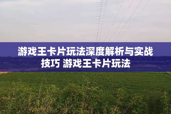 游戏王卡片玩法深度解析与实战技巧 游戏王卡片玩法