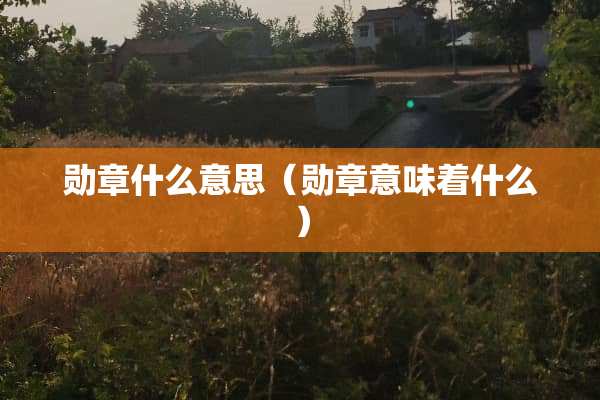 勋章什么意思（勋章意味着什么）