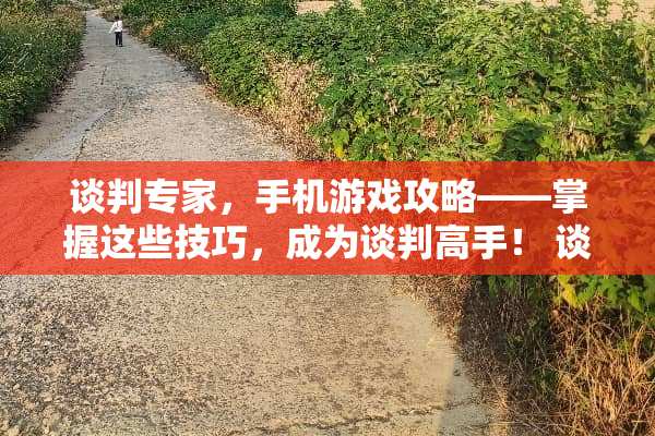 谈判专家，手机游戏攻略——掌握这些技巧，成为谈判高手！ 谈判专家手机游戏攻略