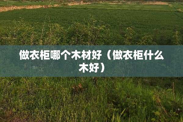 做衣柜哪个木材好(做衣柜什么木好) 做衣柜哪个木材好(做衣柜什么木好)