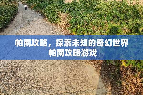 帕南攻略,探索未知的奇幻世界 帕南攻略游戏 帕南攻略,探索未知的奇幻世界 帕南攻略游戏