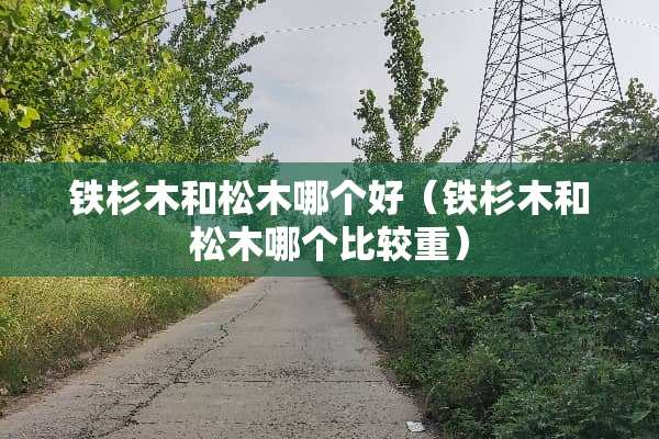 铁杉木和松木哪个好(铁杉木和松木哪个比较重) 铁杉木和松木哪个好(铁杉木和松木哪个比较重)