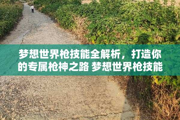 梦想世界枪技能全解析，打造你的专属枪神之路 梦想世界枪技能