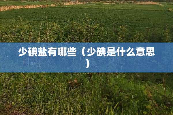 少碘盐有哪些（少碘是什么意思）