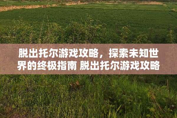 脱出托尔游戏攻略，探索未知世界的终极指南 脱出托尔游戏攻略