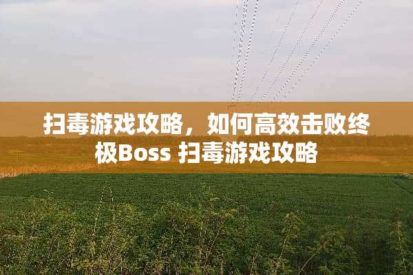 扫毒游戏攻略，如何高效击败终极Boss 扫毒游戏攻略