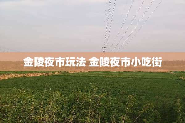 金陵夜市玩法 金陵夜市小吃街