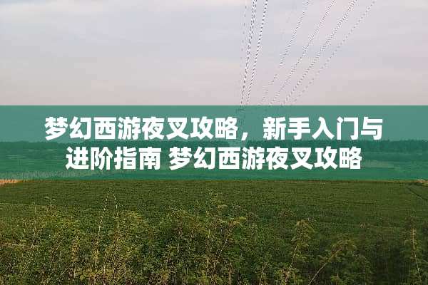 梦幻西游夜叉攻略,新手入门与进阶指南 梦幻西游夜叉攻略 梦幻西游夜叉攻略,新手入门与进阶指南 梦幻西游夜叉攻略