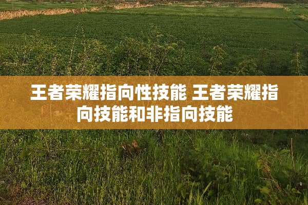 王者荣耀指向性技能 王者荣耀指向技能和非指向技能