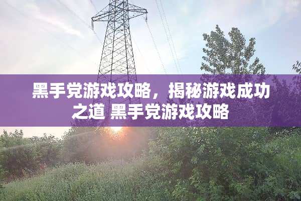 黑手*游戏攻略,揭秘游戏成功之道 黑手*游戏攻略 黑手*游戏攻略,揭秘游戏成功之道 黑手*游戏攻略