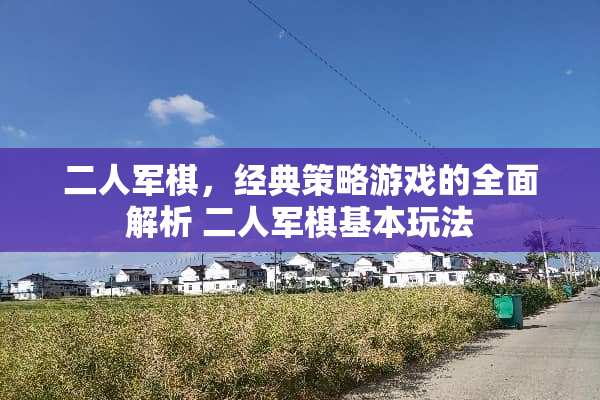 二人军棋，经典策略游戏的全面解析 二人军棋基本玩法