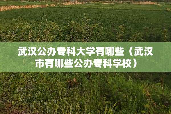 武汉公办专科大学有哪些（武汉市有哪些公办专科学校）