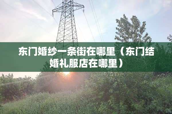 东门婚纱一条街在哪里（东门结婚礼服店在哪里）