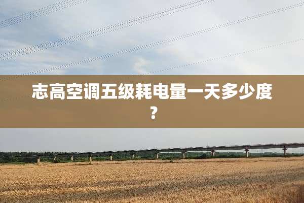 志高空调五级耗电量一天多少度？