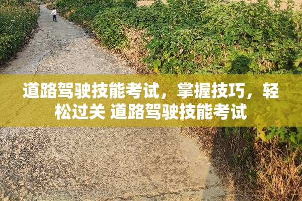 道路驾驶技能考试，掌握技巧，轻松过关 道路驾驶技能考试