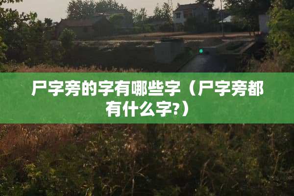 尸字旁的字有哪些字（尸字旁都有什么字?）