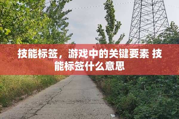 技能标签，游戏中的关键要素 技能标签什么意思